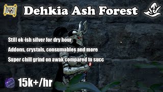 BDO  Dehkia Ash Forest  Awake Witch 15khr L2 yellow LS [upl. by Azarcon317]