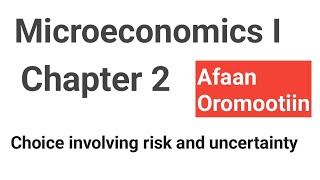 Choice involving risk and uncertainty Microeconomics I Chapter 2 [upl. by Myrwyn]