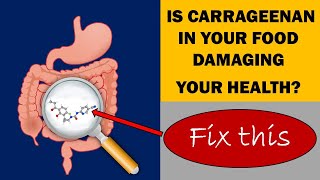 Is Carrageenan In Your Food Causing You Intestinal Problems Inflammation and Arthritis [upl. by Amil780]