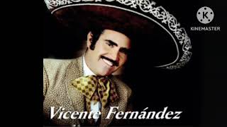 La Derrota Vicente Fernandez [upl. by Beekman]