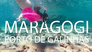 Nordeste  Parte 2 Muitos Peixinhos Coloridos  Maragogi e Porto de Galinhas  Viajando na Mostarda [upl. by Hgielra]