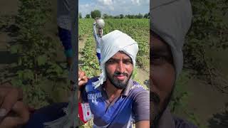 Drone tho sprey 🌱 farming agriculture technology lifestyle vlog [upl. by Sorcha]