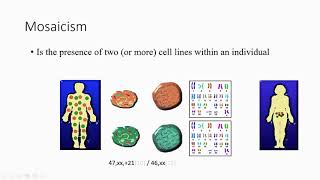 18 introduction to genetics Character Trait Somatic Germline Mosaicism Homologous Chromosomes [upl. by Redan681]