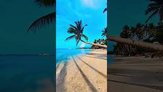 Boracay’s famous leaning coconut tree 🌴 Subscribe ☺️ boracay bulabog philippines [upl. by Yruam]