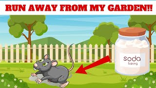 How to Keep Rats Out of the Garden  This Trick Will Work [upl. by Faxun115]