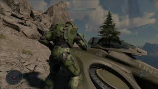 Halo Infinite wasp spawn location [upl. by Ly586]