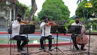 Pilipinas Kong Mahal Instrumental Filipino Patriotism Song  Musikang Pinoy  Symphony Strings [upl. by Wixted763]