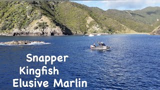 Great Barrier Island Fishing Marlin Pursuit [upl. by Yart]