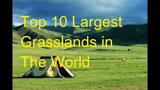 Top 10 Largest Grasslands in The World  World best largest Grasslands [upl. by Idham969]