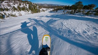 Bataleon Board Comparison POV  Camel 2  Surfer  Party Wave [upl. by Eerak]