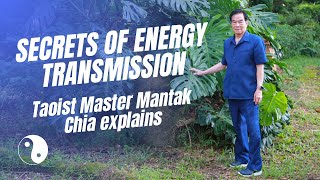 How is energy transmission online even possible Tao Master Mantak Chia explains his techniques☯️ [upl. by Annairba]