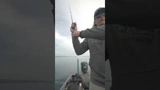 St Croix BLACK BASS PremiumQuality Bass Rods for Better Days on the Water shorts bassfishing [upl. by Astiram]