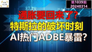 ✨【投资TALK君1039期】通胀要回来了？特斯拉的破坏时刻！AI热门股ADBE暴雷？✨20240314NFP通胀美股美联储经济CPI美国房价btc比特币 [upl. by Zandra]