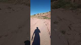 At the wash with my dog Papi navajo arizonahiking chihuahuaoftheday arizona navajonation [upl. by Aitnahs]