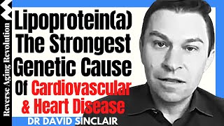 The Strongest Genetic Cause Of Heart Disease  Lipoproteina   Dr David Sinclair Interview Clips [upl. by Demetrius171]