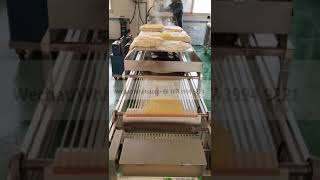 Flour cornmexican tortilla machine taco roti maker press bread grain product tortilla making machine [upl. by Geraldine]