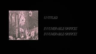 Innumerable Orifices  Innumerable Orifices Full Cassette Rip [upl. by Camden]