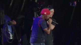 Watch Havoc Of Mobb Deep At Hip Hop 50 Live At Yankee Stadium [upl. by Evilc961]