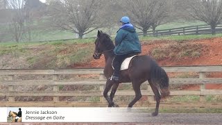 Cantering the gaited horse [upl. by Ennej]