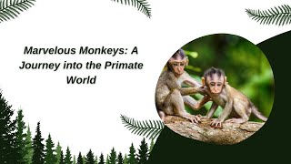 Marvelous Monkeys A Journey into the Primate World  Fun amp Cool facts about Monkeys for Children [upl. by Ecnaiva541]