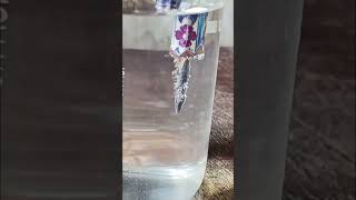 chemistry water electrolysis by PCM Guru Ji Online classes experiment [upl. by Guy]