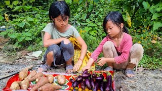 Orphans lives  sweet potato harvest eggplant for sale [upl. by Belter]