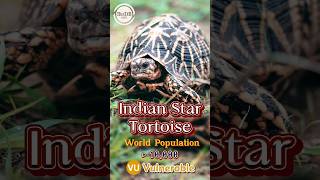 ⭐Indian Star Tortoise facts distribution amp population  BioDB biodb reels facts tortoise india [upl. by Tait522]