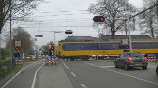 Spoorwegovergang Tynaarlo  Dutch railroad crossing [upl. by Losse]