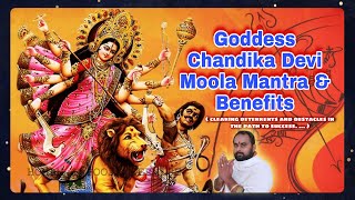 Chandika Devi Moola Mantra amp Benefits  Goddess Chandi  Homam amp Pooja Service [upl. by Ayrb239]