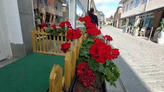 Walking around Norrtälje Centrum Sweden [upl. by Carena563]