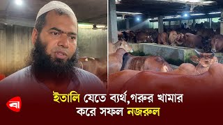 ইতালি যেতে ব্যর্থগরুর খামার করে সফল নজরুল  Cow farm in bangladesh  Protidiner Bangladesh [upl. by Hamilton934]