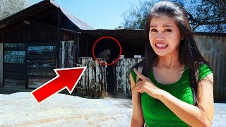 EXPLORING HAUNTED ABANDONED TOWN Searching for YOUTUBE HACKER [upl. by Deevan]