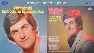 Milivoje Djurisic  Razbolje se momce u prolece  Audio 1981 [upl. by Arved]