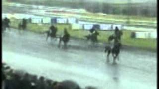 Prix de Cornulier 2001 First de Retz [upl. by Ludly795]