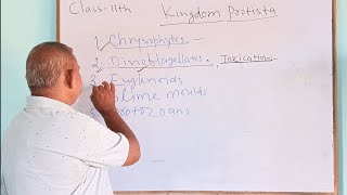 KingdomProtistapart1Class11th biologyJM Bio ClassesNCERT explanation Lecture 43 [upl. by Norraa626]