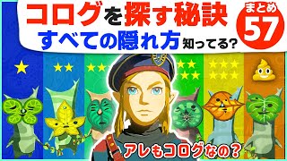 攻略 知らないと発見ムリ！コログの隠れパターン全５７種類 ゼルダの伝説 ブレスオブザワイルド [upl. by Nnaaras153]