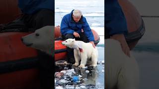 Help An old sailor saves a trapped bear showing kindness while cleaning theocean help shortslove [upl. by Adlemy994]