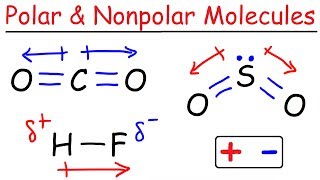 Dipole Moment Vectors amp Electronegativity  Organic Chemistry [upl. by Alyk]