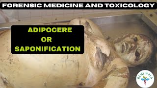 ADIPOCERE  SAPONIFICATION  FORENSIC MEDICINE AND TOXICOLOGY  MBBS  BAMS WALA [upl. by Euphemiah]