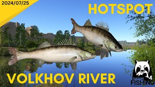 Zander HOTSPOT Volkhov River Russian Fishing 4 [upl. by Opiuuk541]