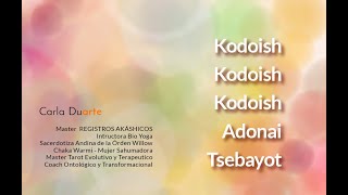 Kodoish Kodoish Kodoish Adonai Tsebayot [upl. by Iolande861]