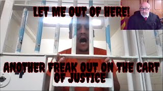 Another FreakOut from the Cart of Justice when Judge Wont Release Him jaildrama courtroomdrama [upl. by Ellasal]