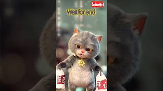 Billo Is Sad Today 🥺😞  shorts ytshorts trending cute cat kitten [upl. by Elram]