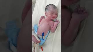 baby injection give 😱😱 not crying funny shorts shortfeeds nicucare [upl. by Nitnelav46]