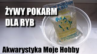 Uniwersalny pokarm dla ryb [upl. by Saba517]