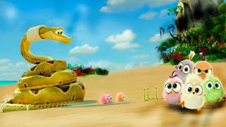 The Angry Birds 2  2019  Movie Explained  Angry Birds 2 Movie Explained \ Polol Film [upl. by Valentino]