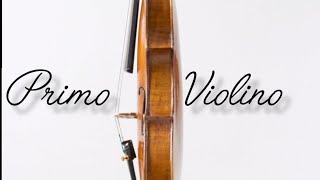 IL PRIMO VIOLINO [upl. by Nana912]