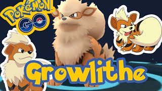 POKEMON GO NINHO DE GROWLITHE 035 UPDATE [upl. by Ardnahs278]