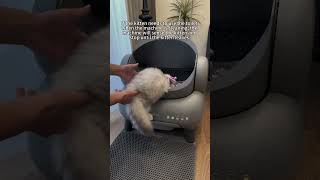 When raising a cat but not wanting to clean the litter box for it Smartcatlitterbox Raisecat cat [upl. by Lahcear]