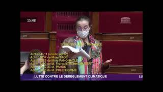 Loi climat et résilience  amendement adopté contre lavis du gouvernement [upl. by Shaylah]